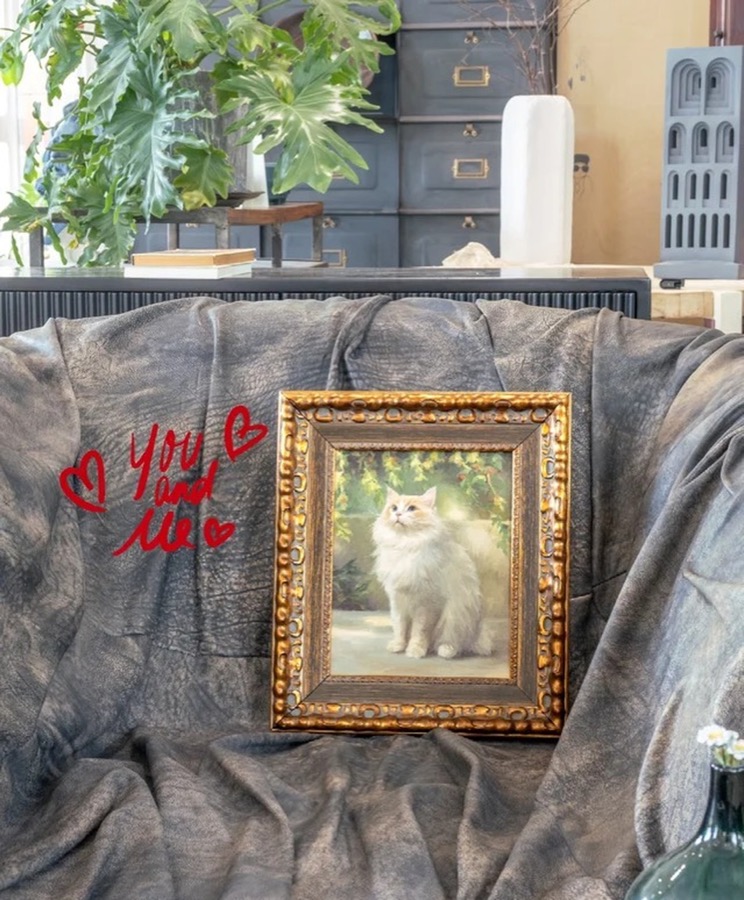 A Lumina pet portrait photographed in its new home, collector image 06