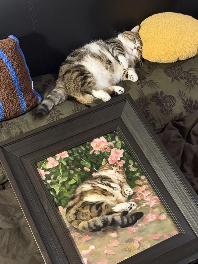 A Lumina pet portrait photographed in its new home, collector image 14