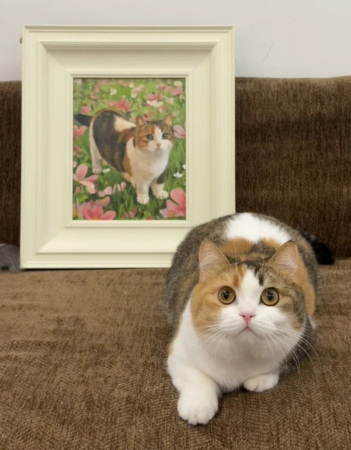 A Lumina pet portrait photographed in its new home, collector image 19