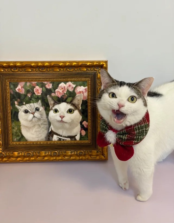 A Lumina pet portrait photographed in its new home, collector image 21