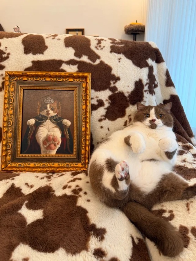A Lumina pet portrait photographed in its new home, collector image 23
